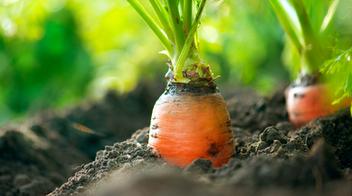 The Organic Switch to Big Data for BI