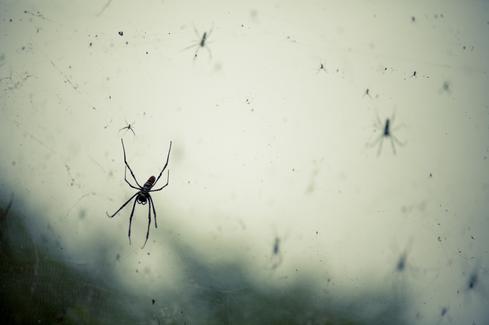 Leaks in the Router Plumbing  Attacks on the Border Gateway Protocol (BGP) -- the fabric that all routing on the Internet is based on -- have become so popular that Dan Hubbard, CTO at OpenDNS says 'BGP is the new black.'  For example, last year Dell SecureWorks discovered a crypto-currency heist, in which the attacker hijacked BGP routes and redirected cryptocurrency miners to the rogue systems, stealing roughly $83,000 in the process.   Wim Remes, manager of strategic security services for Rapid7, will give an overview of the BGP threat landscape in his session 'Internet Plumbing for Security Professionals: The State of BGP Security.'