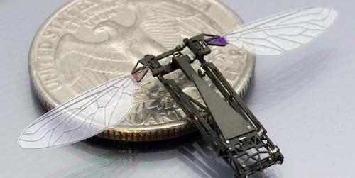 Some winged robots are designed to work in swarms, such as the Monolithic Bee, or MoBee, from Harvard University's Microrobotics Lab. This lab focuses on creating high-performance aerial and ambulatory microrobots and soft robots inspired by biological models. The robots can be used for exploring hazardous environments, search-and-rescue operations, environmental monitoring, and assisting agriculture. The MoBee, which is about the size of a housefly, is made from custom hardware. It is part of the RoboBees Project funded by the National Science Foundation for mimicking the behavior of a bee colony and adapting to changing environments. (Source: Harvard University)