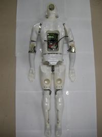 The half-scale swumanoid swimming robot incorporates 20 waterproof motors that are controlled by a computer to mimic the actions of human swimmers.   (Source: Tokyo Institute of Technology)