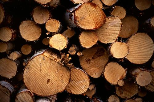 A new thermoplastic composite uses engineered cellulose fiber from trees, such as these logs in Kuopio, Finland, instead of the short glass fibers usually used for reinforcement. Applications include automotive parts and industrial components.   (Source: Wikimedia Commons/Okko Pyykko)