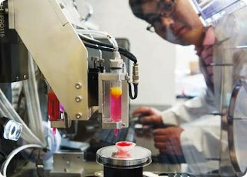 The synthetic material is used to create the framework and natural gel is printed on top, creating an environment for cell growth.   (Source: Wake Forest Institute for Regenerative Medicine)