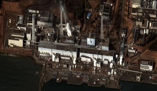 Radioactivity levels around the crippled Fukushima Daiichi nuclear powerplant were too low to detect in 99 percent of the 22,000 residents examined.   (Source: Nuclear Energy Institute)