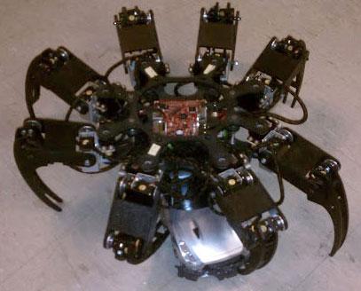 The E.L.F. robot dances to the beat of any song it hears. One of the coolest things about this project is that its creator, John Jensen, had no previous hardware building experience prior to this project. This quick learner made the SpiderBot while deployed to Iraq. He chose the BeagleBoard to give the spider plenty of speed and well-defined dance moves.