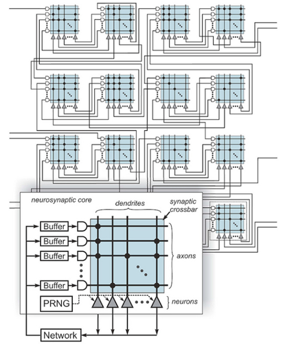 Interconnected networks of neurosynaptic cores implement the brain's functions with short-range connections and an intra-core synaptic crossbar taking inputs on its dendrites and outputting results to its axons. Information flows from axons to neurons gated by binary synapses. Buffers hold incoming spikes for delayed delivery while the network sends spikes from neurons to axons. SOURCE: IBM