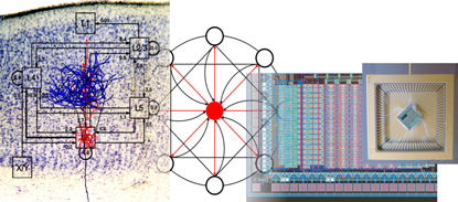 The Institute of Neuroinformatics at the Eidgenossische Technische Hochschule is developing computational models for hybrid analog/digital semiconductors that implement neuromorphic cognitive systems. (Source: ETH)