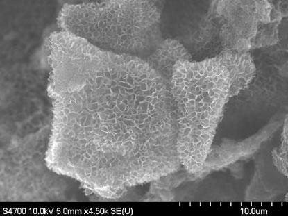 Field emission scanning electron microscopy (FESEM) image of 3D honeycomb-structure of 3D graphene.
(Source: Michigan Tech)