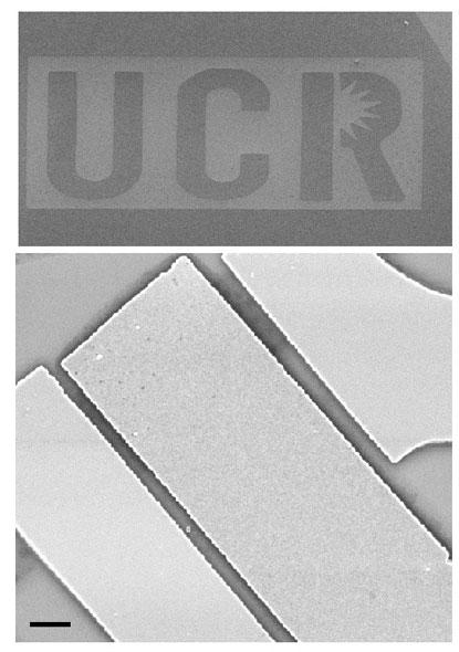 Scanning electron microscopy (SEM) image of novel graphene device implementing non-Boolean logic (with UCR logo etched in graphene at top). Scale bar is one micron.
(Source: University of California at Riverside)