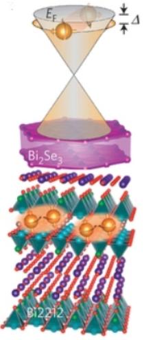 Bismuth selenide cuprate (Bi2212) heterostructure showed proximity-induced high-temperature superconducting gap on the surface states of the bismuth selenide topological insulator.