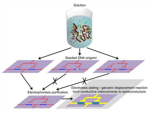 Conductive metal-semiconductor interconnects at sub-five-nanometer line widths could use DNA-templates to guide their self-assembly.
(Source: SRC)
