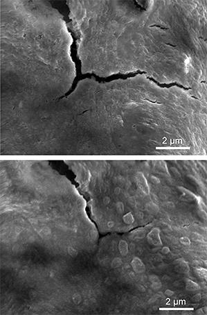Cracks formed in a self-healing silicon electrode due to swelling during charging (top) begin to seal back up within hours (bottom). (Source: C. Wang et al, Nature Chemistry)