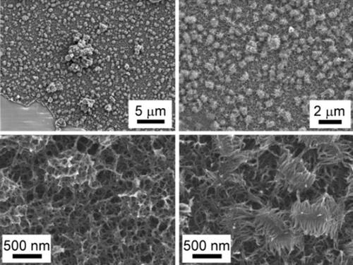 SEM (scanning electron microscope) shows nano particles that are formed from as collections of two-dimensional flakes. (Source: MIT)