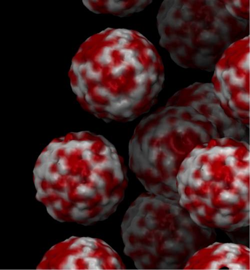 Artist's rendering of bionic supra-particles may one day harnessing sunlight to make fuels.
(Credit: Trung Nguyen; Source: University of Michigan)