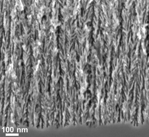 The nanometer scale features of the porous surface allow efficient charge storage while the porous material remains both electrically and mechanically connected to the bulk electrode visible at the bottom.
(Source: Vanderbilt University)