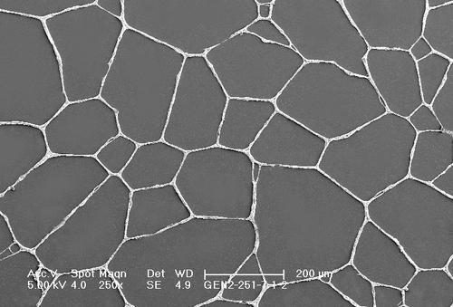 Closeup of silver web of self-assembling nanowire web on flexible, transparent substrate.
(Source: Cima NanoTech)