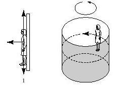 The rotor ride spins and people inside the cylinder stick to the wall, irrespective of their mass. Riders are subject to three forces: weight, normal force, and frictional force. (Source: stuegli.com)