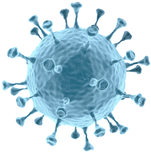 rcj_Microbial-Robotics_VirtuBot.png