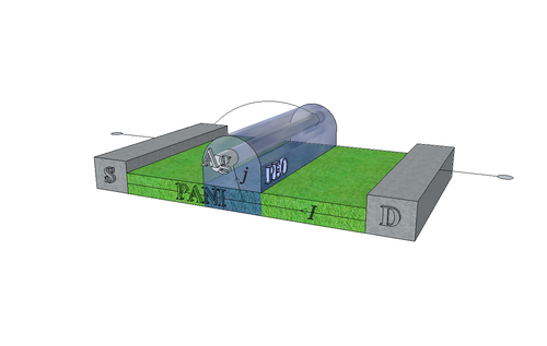 The Russian memristor is fabricated from polyaniline and has already been proven capable of realizing Marvin Minsky's Perceptron.
(Source: Moscow Institute of Physics and Technology)