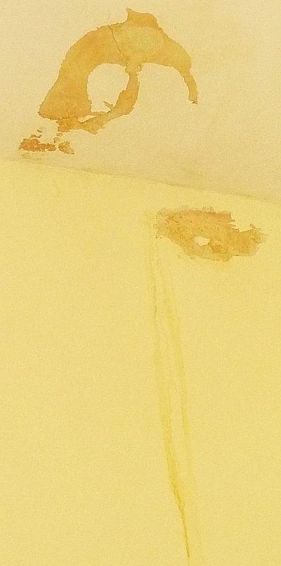 In 2015, my office wall was stained by incoming water from an ice dam. This year, I take preventative measures and hope the weather will cooperate.