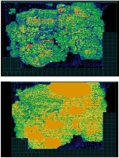 Synthesized cell density in the floorplan stage (top) as compared to the placement stage (bottom) (Source: CEVA)