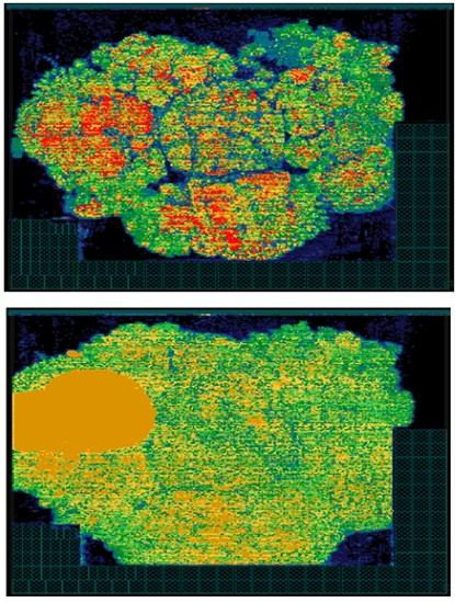 Synthesized cell density in floorplan stage (top) as compared to the placement stage after applying coefficients (bottom) (Source: CEVA)