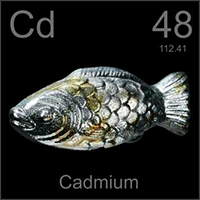 Cadium(Source: Periodictable.com)