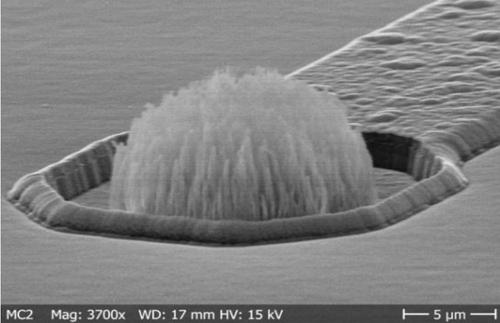 A forest of CNFs grown onto a metal IC bond pad. (Source: Smoltek)
Click here for larger image