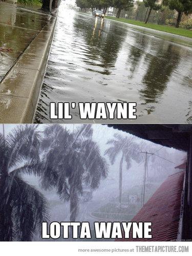 2014: The Year In Search