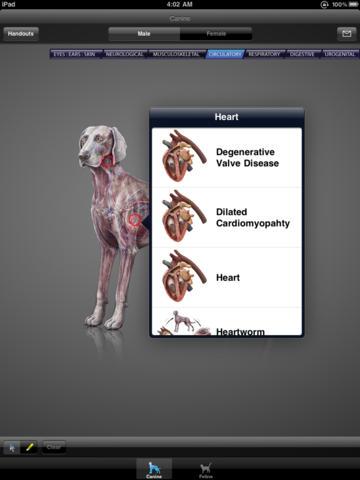 iDIA Diagnostics Is A Pet App For Vets ($399.99) Another highly useful app -- albeit for a niche audience -- iDIA provides veterinary client education, and it includes all of the animation and illustration content from the main Diagnostic Imaging Atlas (DIA) program, which has more than 200 files. There's also an interactive dog and cat feature, e-mail capabilities, and 150 client education handouts covering common pet health topics.