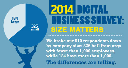 2014 Digital Business Survey: Size Matters