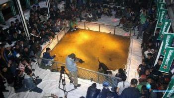 Heineken banners dominate the dogfighting ring.

