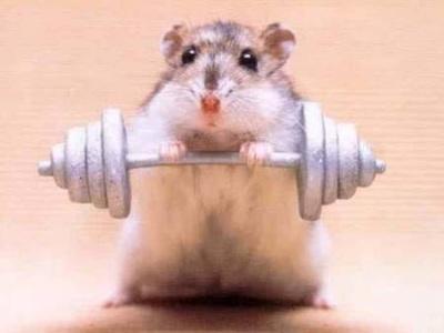 I tackle the Mighty Hamster in his lair.