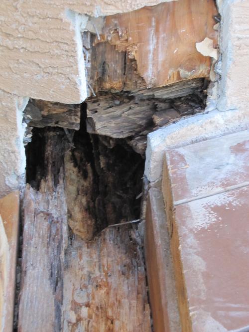 Deck repair exposes more ...