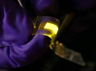 Purple-gloved researcher demonstrates how stretchable OLED display can be bent, stretched, and deformed while working undamaged. (Source: UCLA)
