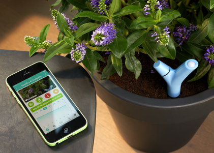 Parrot Flower Power, a wireless sensor for plants.